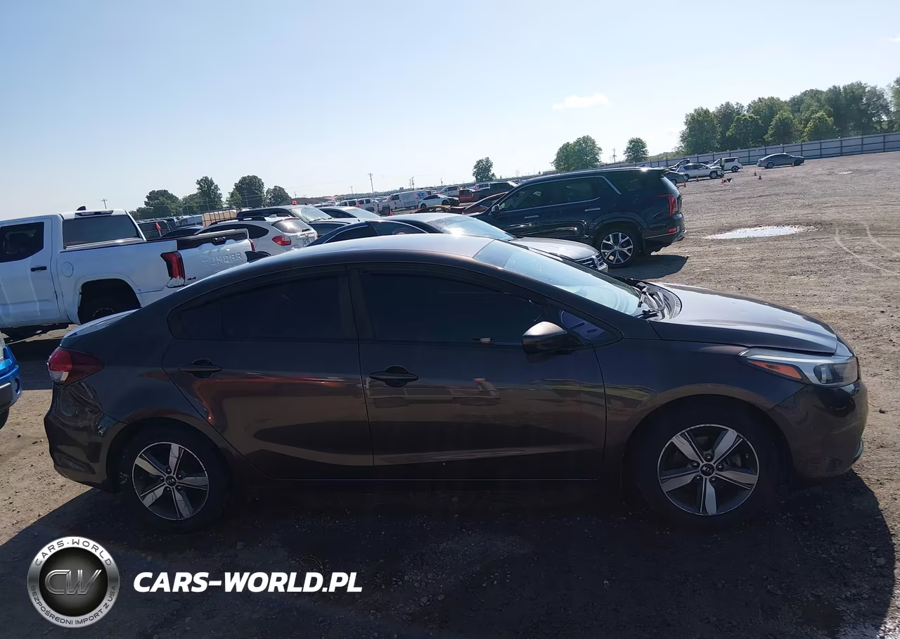 2018 Kia Forte Lx VIN:3KPFL4A70JE169030 - 13