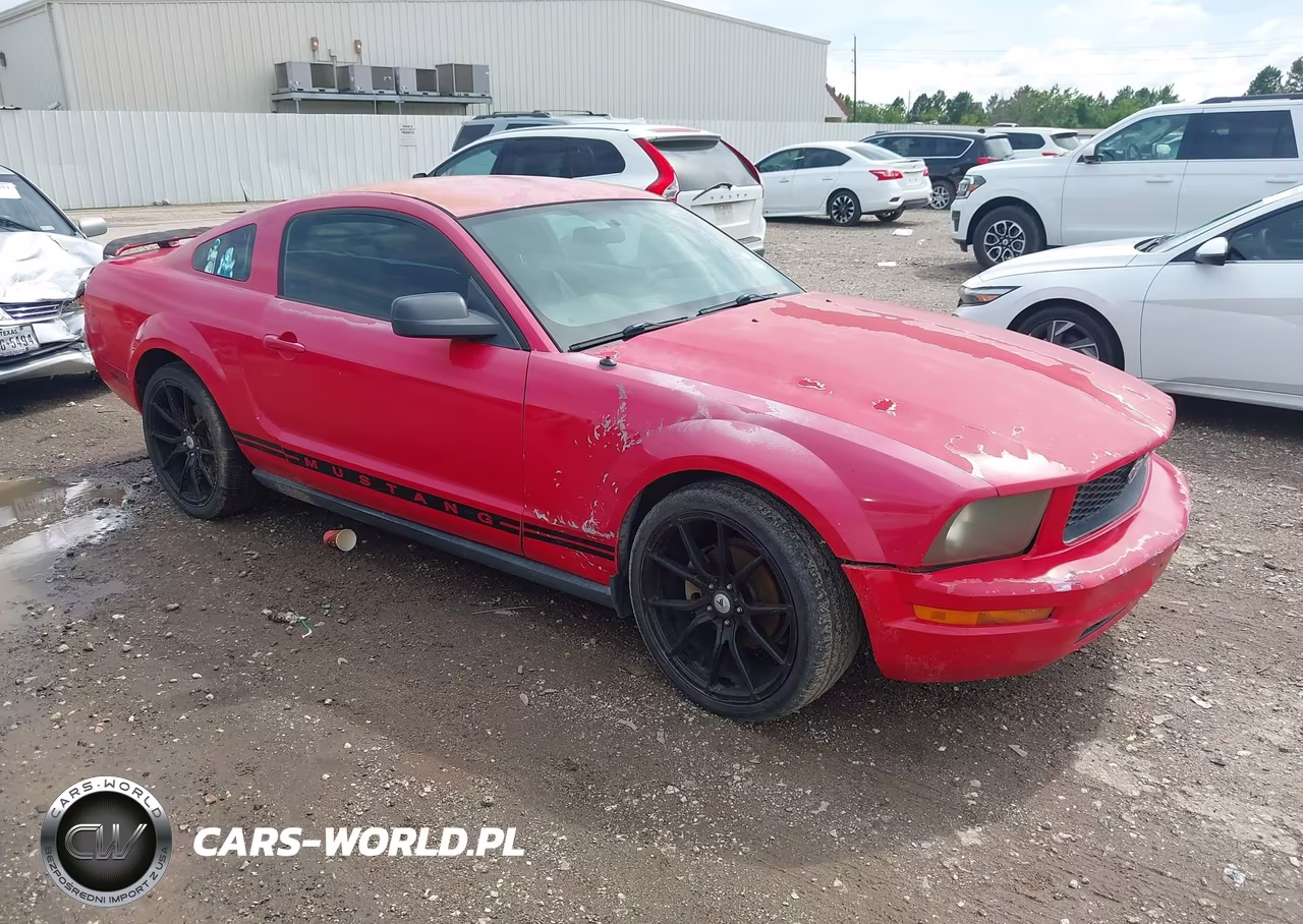 2005 Ford Mustang V6 Deluxe-V6 Premium VIN:1ZVFT80N655116628 - 1