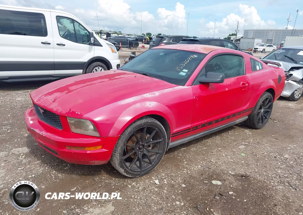 2005 Ford Mustang V6 Deluxe-V6 Premium VIN:1ZVFT80N655116628 - 2