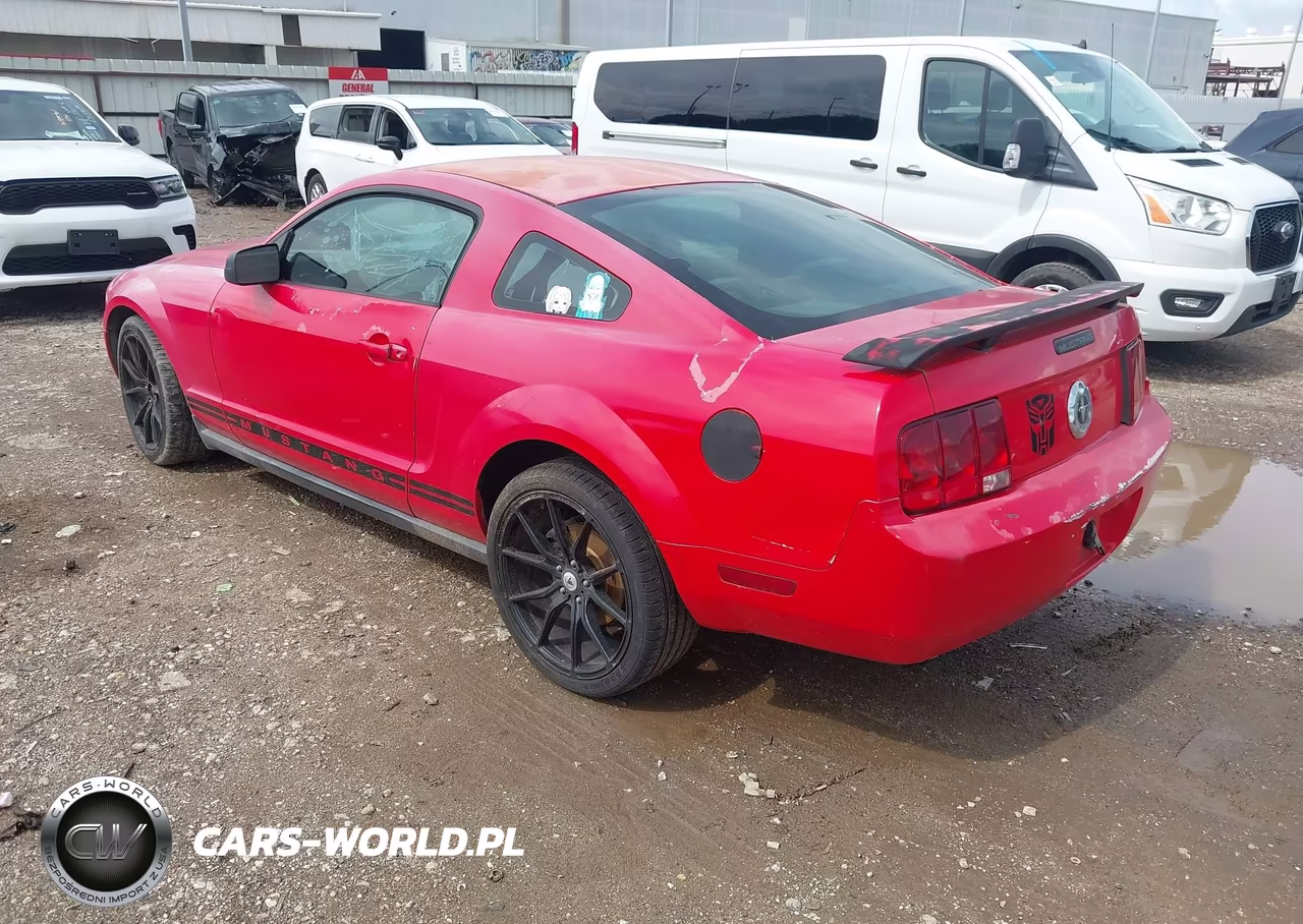 2005 Ford Mustang V6 Deluxe-V6 Premium VIN:1ZVFT80N655116628 - 3