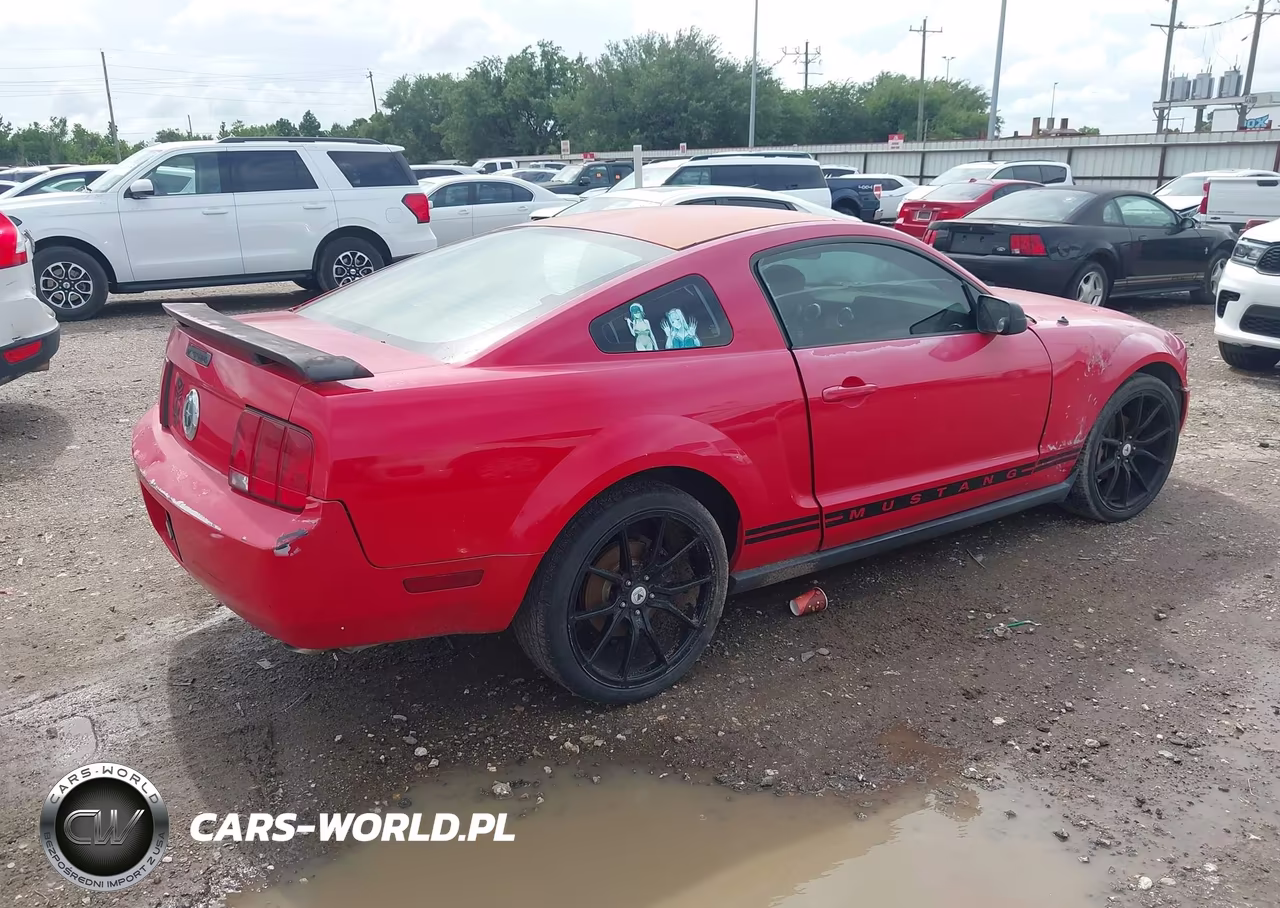2005 Ford Mustang V6 Deluxe-V6 Premium VIN:1ZVFT80N655116628 - 4