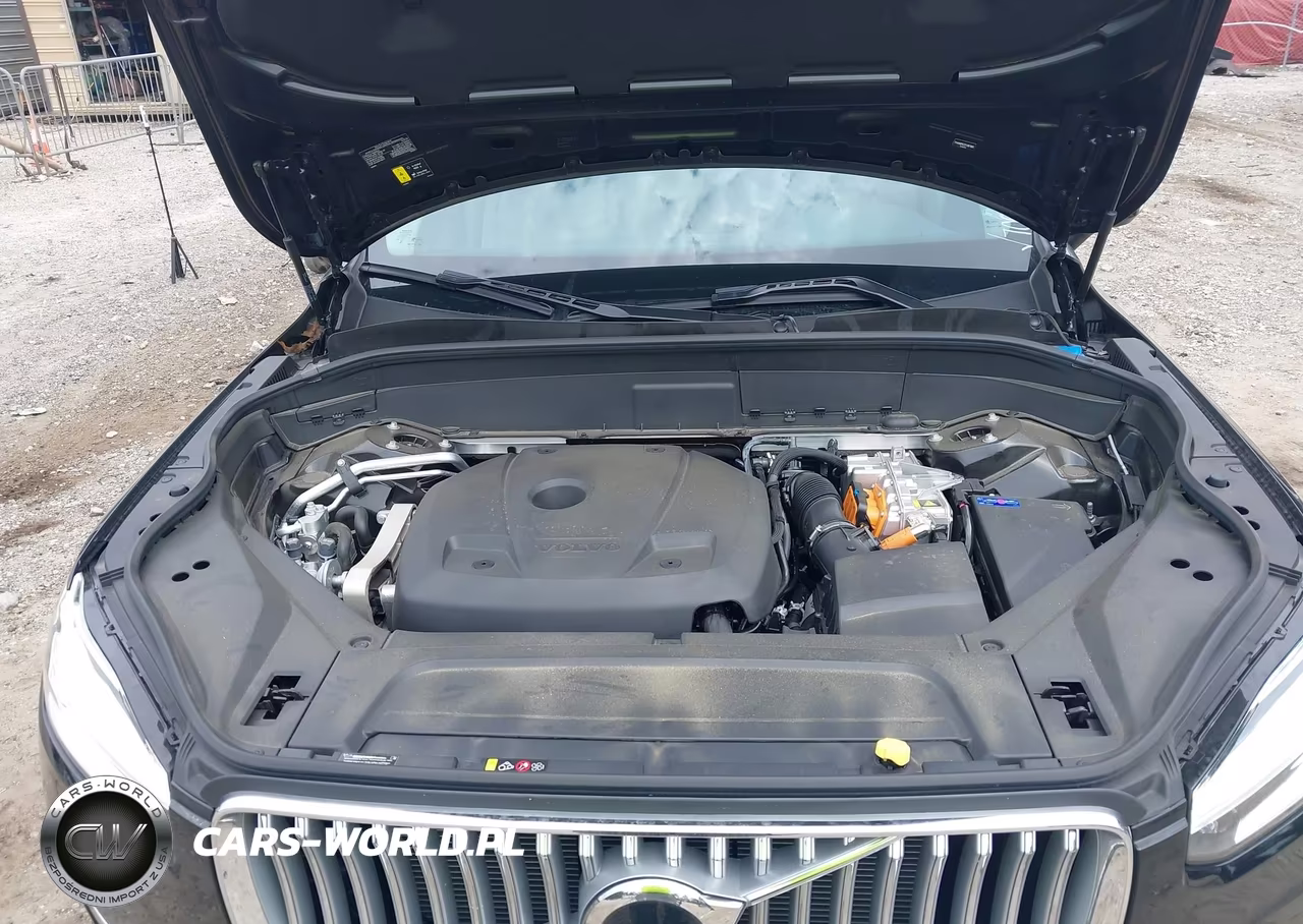 2025 Volvo Xc90 Plug-In Hybrid Plus VIN:YV4H60PE2S1307005 - 10