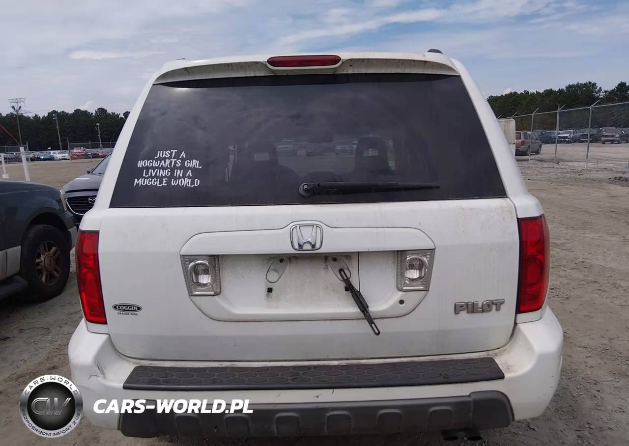2005 Honda Pilot Ex-L VIN:5FNYF18625B067045 - 17
