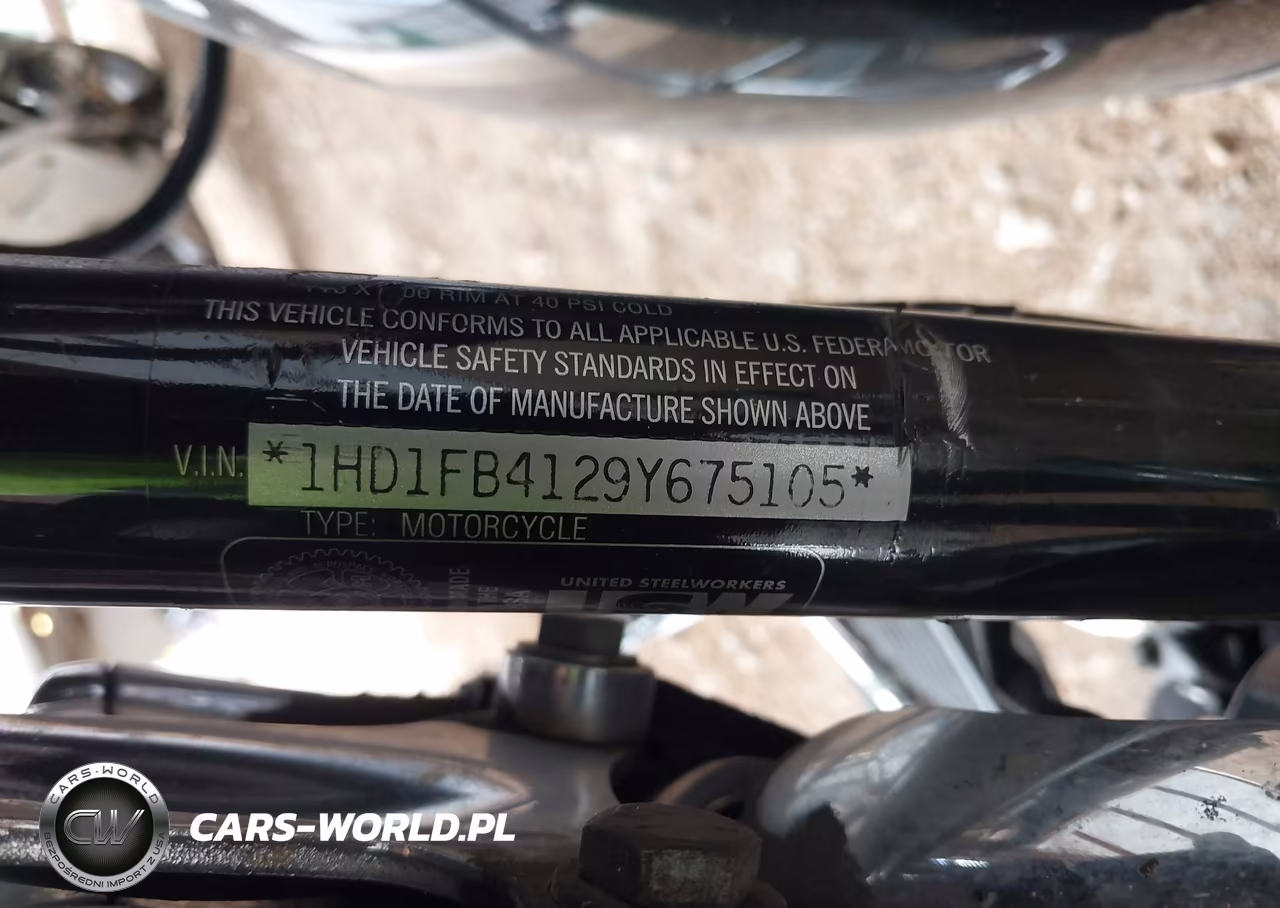 2009 Harley-Davidson Flhr VIN:1HD1FB4129Y675105 - 10