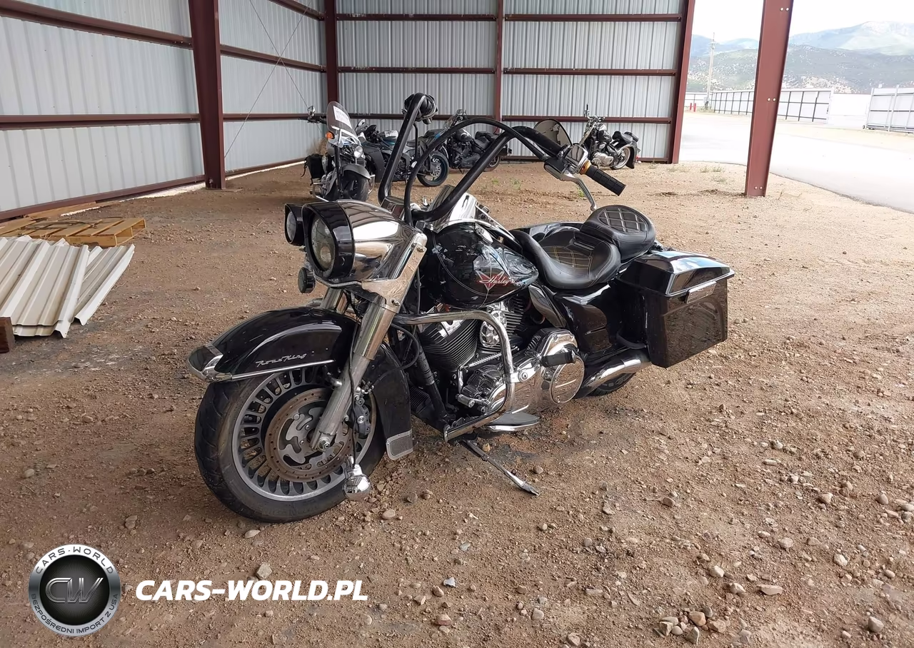 2009 Harley-Davidson Flhr VIN:1HD1FB4129Y675105 - 2