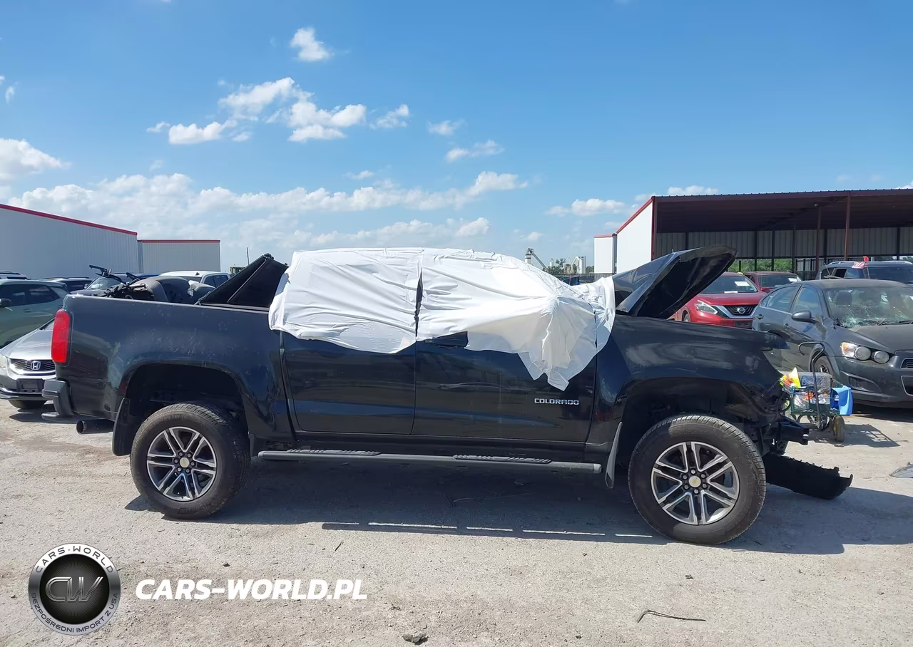 2019 Chevrolet Colorado Wt VIN:1GCGSBEN4K1241629 - 12