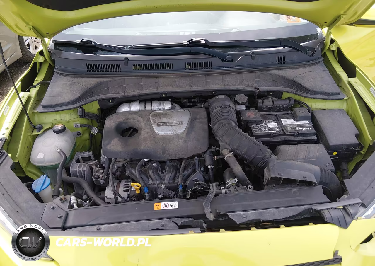 2019 Hyundai Kona Limited VIN:KM8K3CA52KU369669 - 10