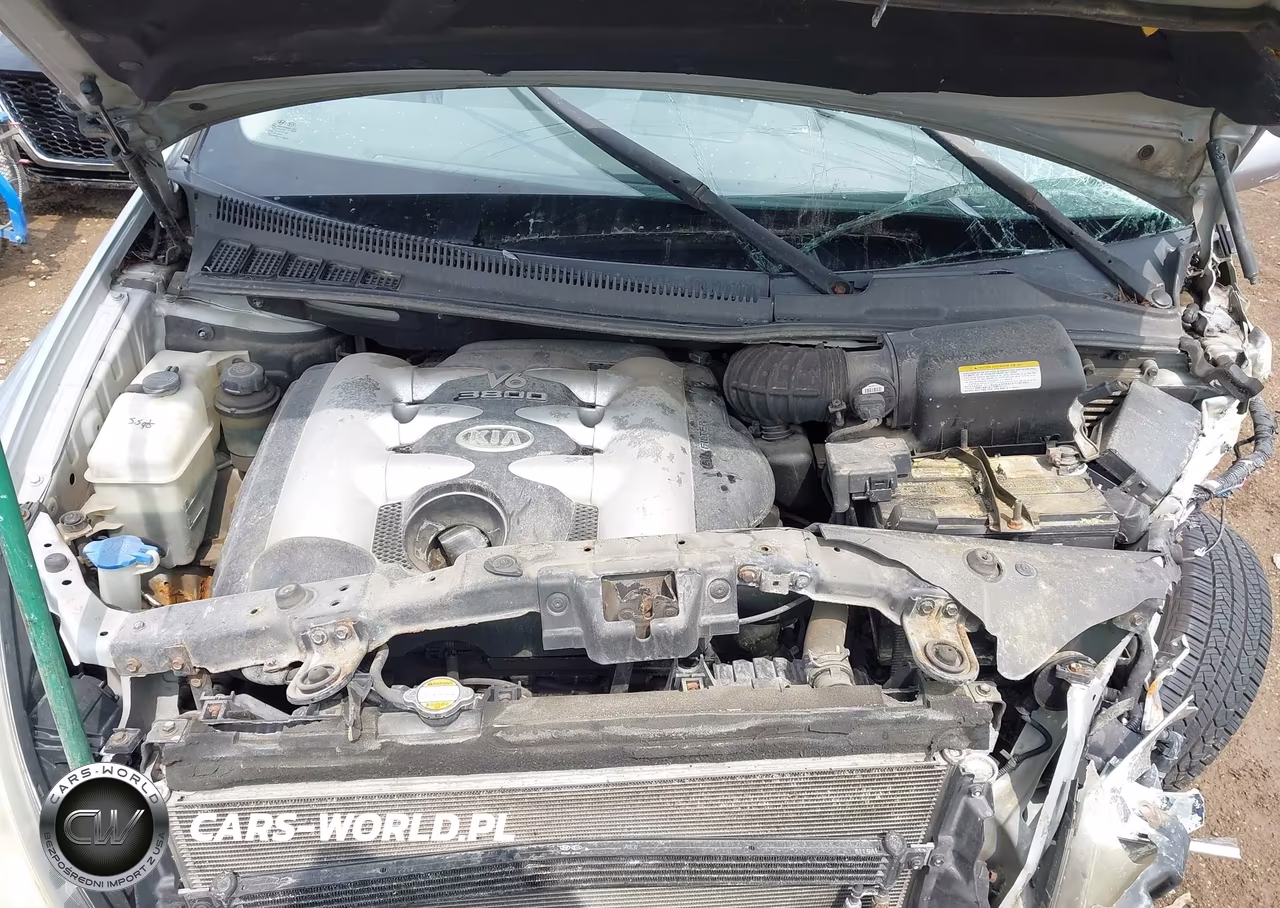 2006 Kia Sedona Ex-Lx VIN:KNDMB233666033295 - 10