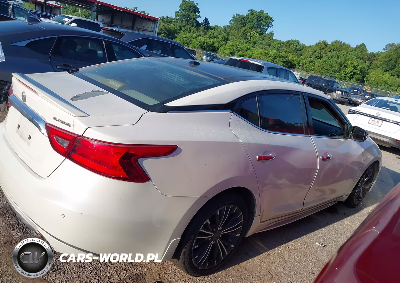 2016 Nissan Maxima 3.5 Platinum VIN:1N4AA6AP6GC401874 - 12