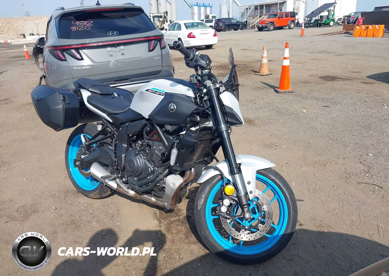 2025 Yamaha Mtn690 C