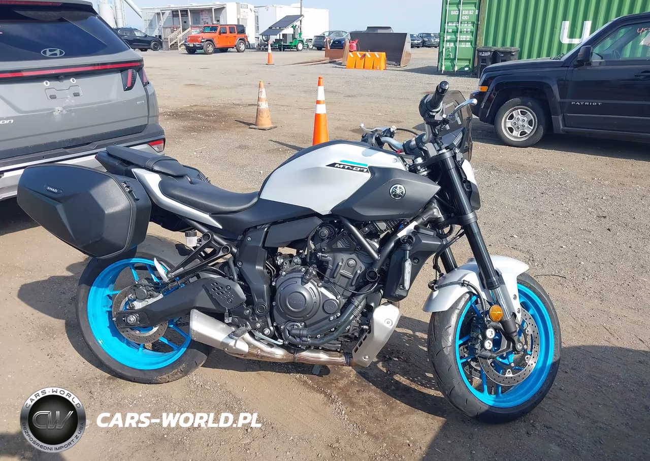 2025 Yamaha Mtn690 C VIN:JYARM48Y9SA000794 - 12