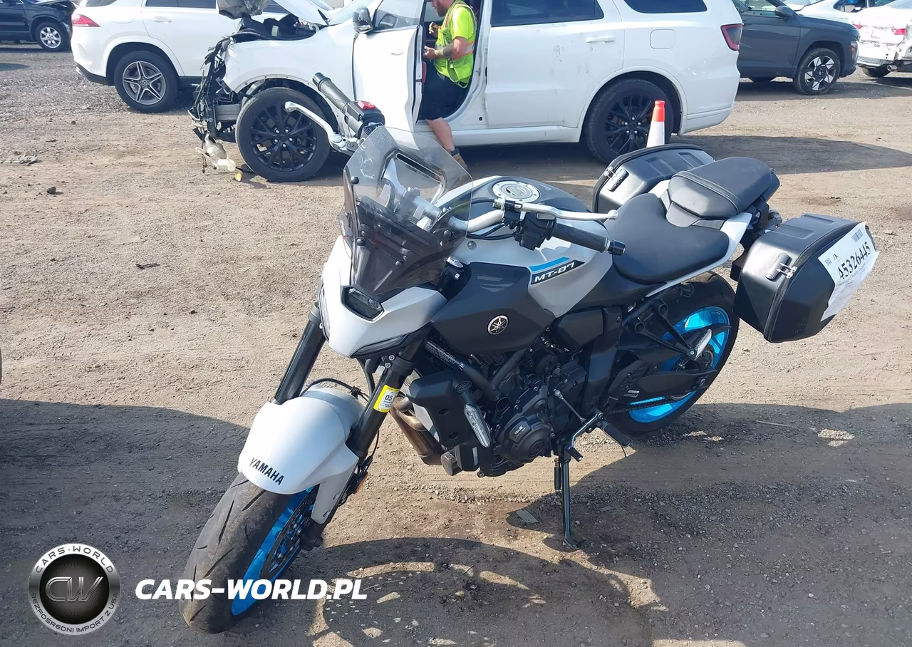 2025 Yamaha Mtn690 C VIN:JYARM48Y9SA000794 - 2