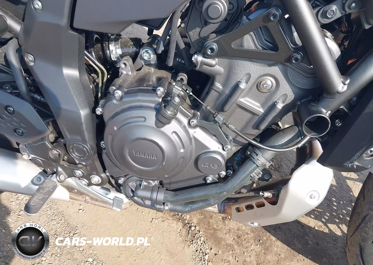 2025 Yamaha Mtn690 C VIN:JYARM48Y9SA000794 - 8