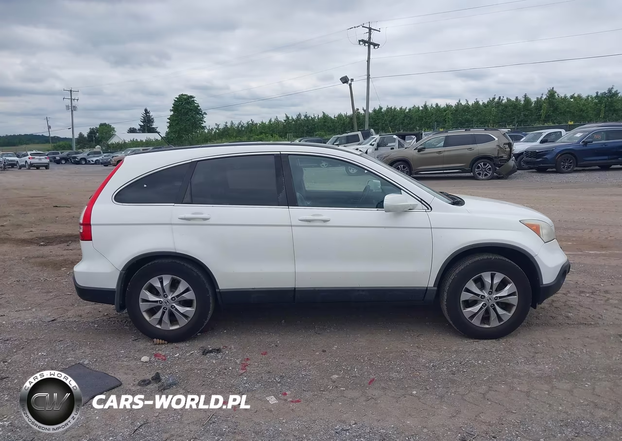 2009 Honda Cr-V Ex-L VIN:5J6RE48729L067366 - 12