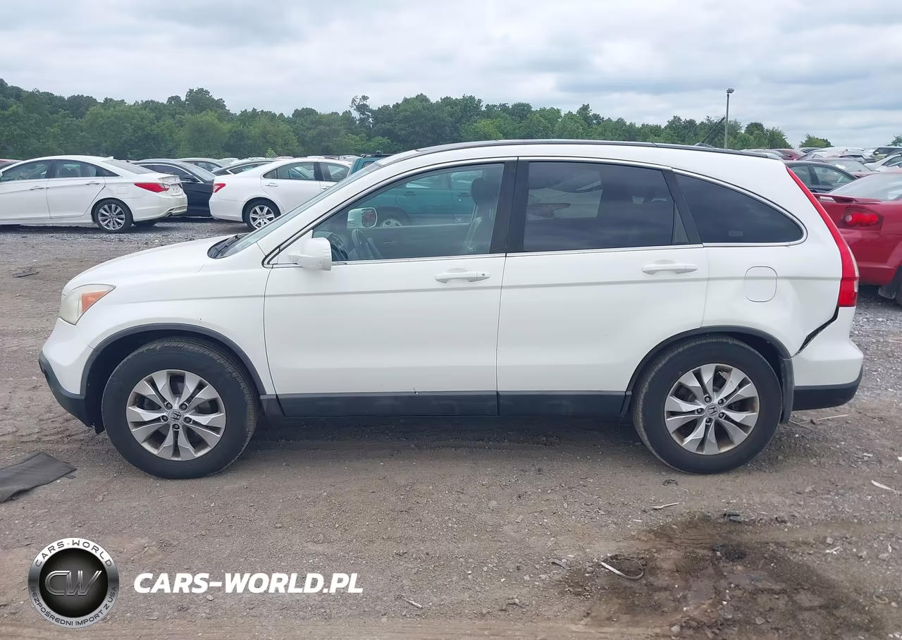 2009 Honda Cr-V Ex-L VIN:5J6RE48729L067366 - 13
