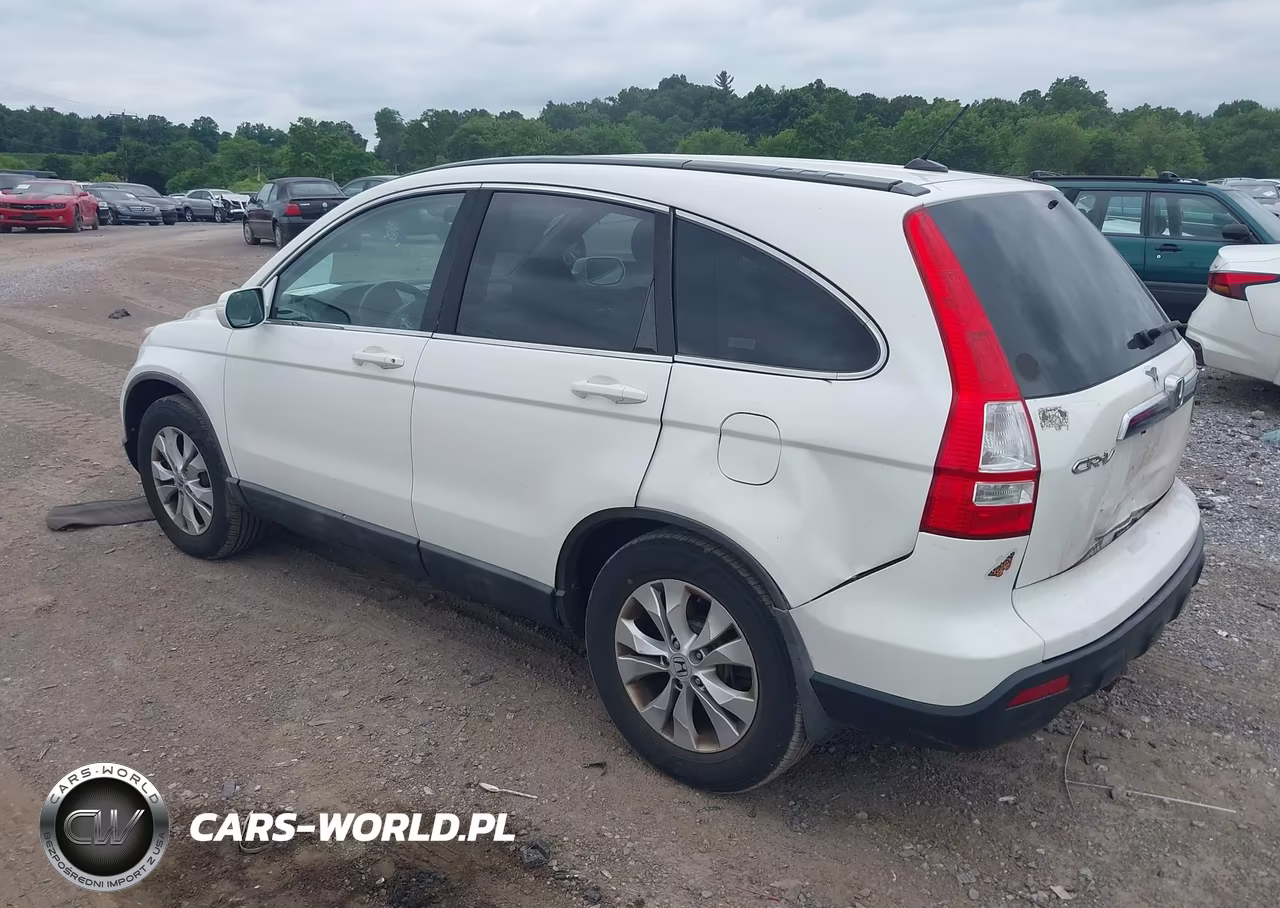 2009 Honda Cr-V Ex-L VIN:5J6RE48729L067366 - 3
