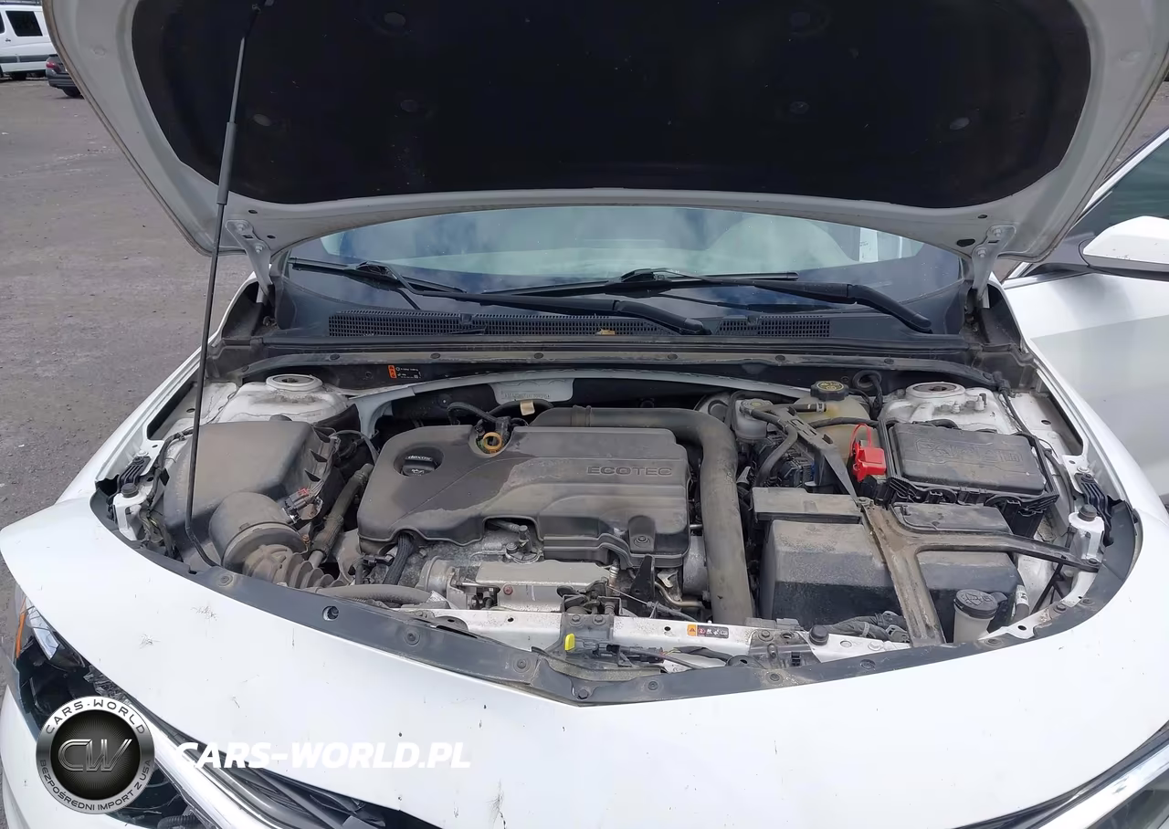 2019 Chevrolet Malibu Lt VIN:1G1ZD5ST1KF109396 - 10