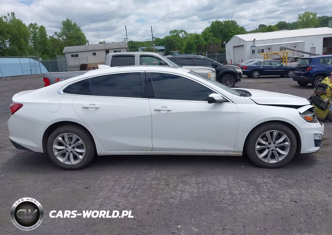 2019 Chevrolet Malibu Lt VIN:1G1ZD5ST1KF109396 - 13