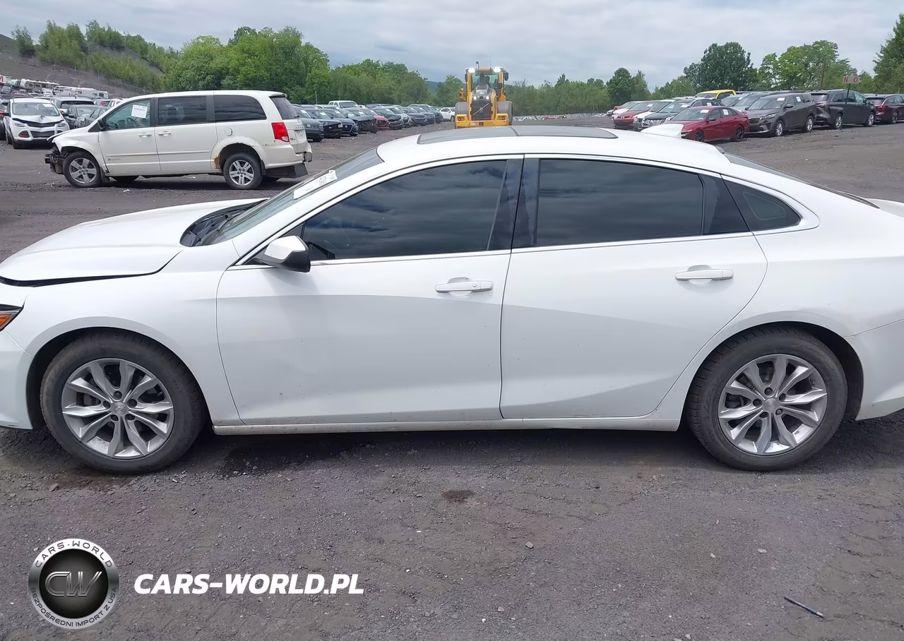 2019 Chevrolet Malibu Lt VIN:1G1ZD5ST1KF109396 - 14
