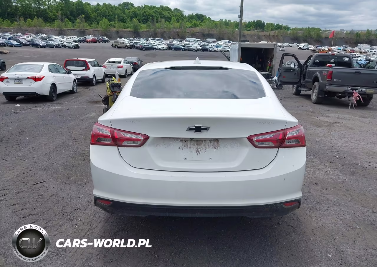 2019 Chevrolet Malibu Lt VIN:1G1ZD5ST1KF109396 - 16