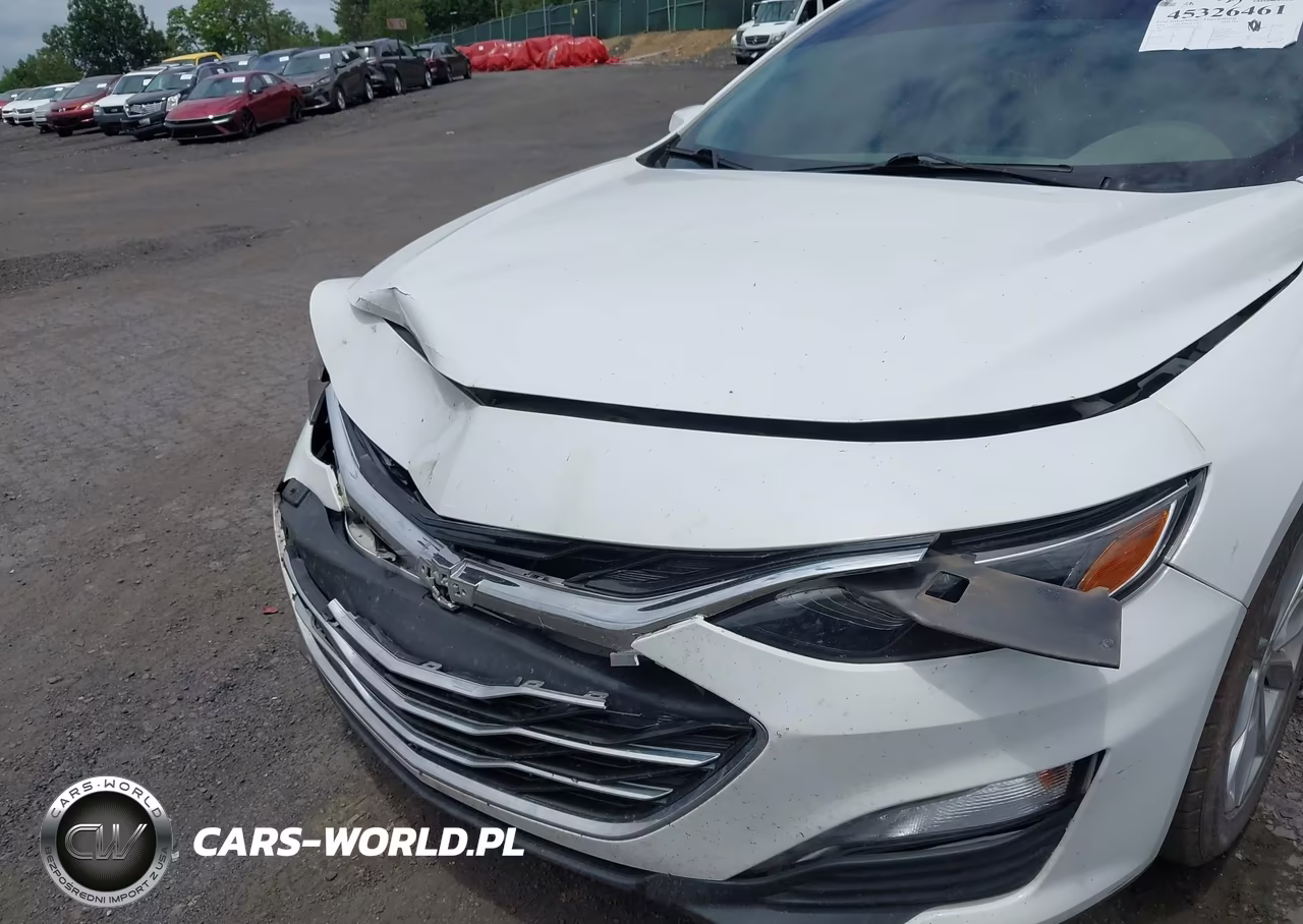 2019 Chevrolet Malibu Lt VIN:1G1ZD5ST1KF109396 - 17