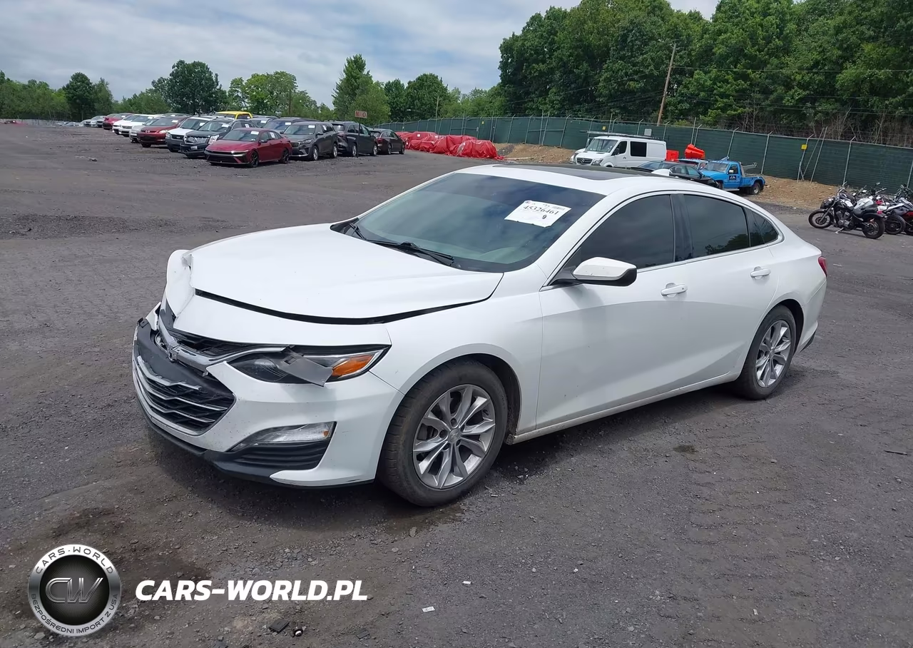 2019 Chevrolet Malibu Lt VIN:1G1ZD5ST1KF109396 - 2