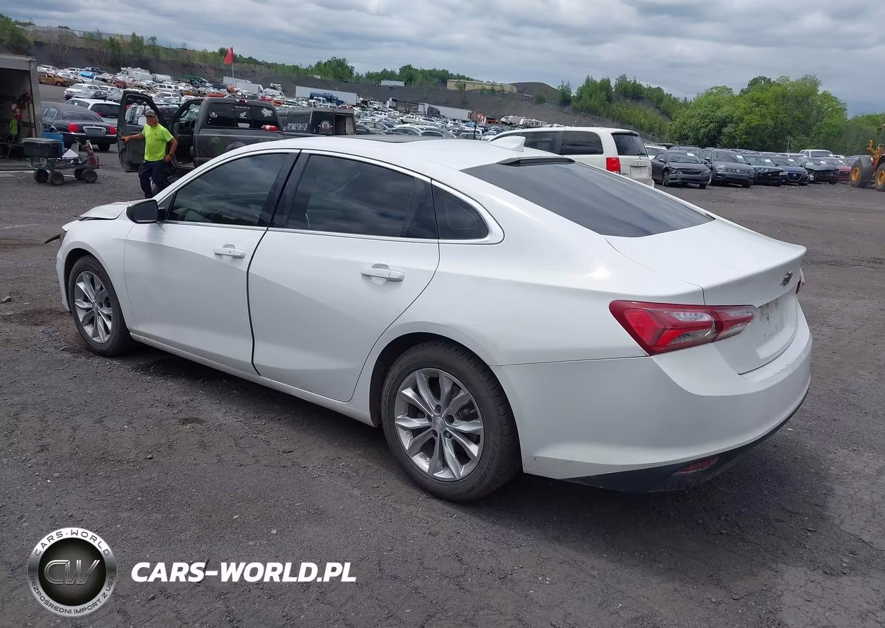2019 Chevrolet Malibu Lt VIN:1G1ZD5ST1KF109396 - 3