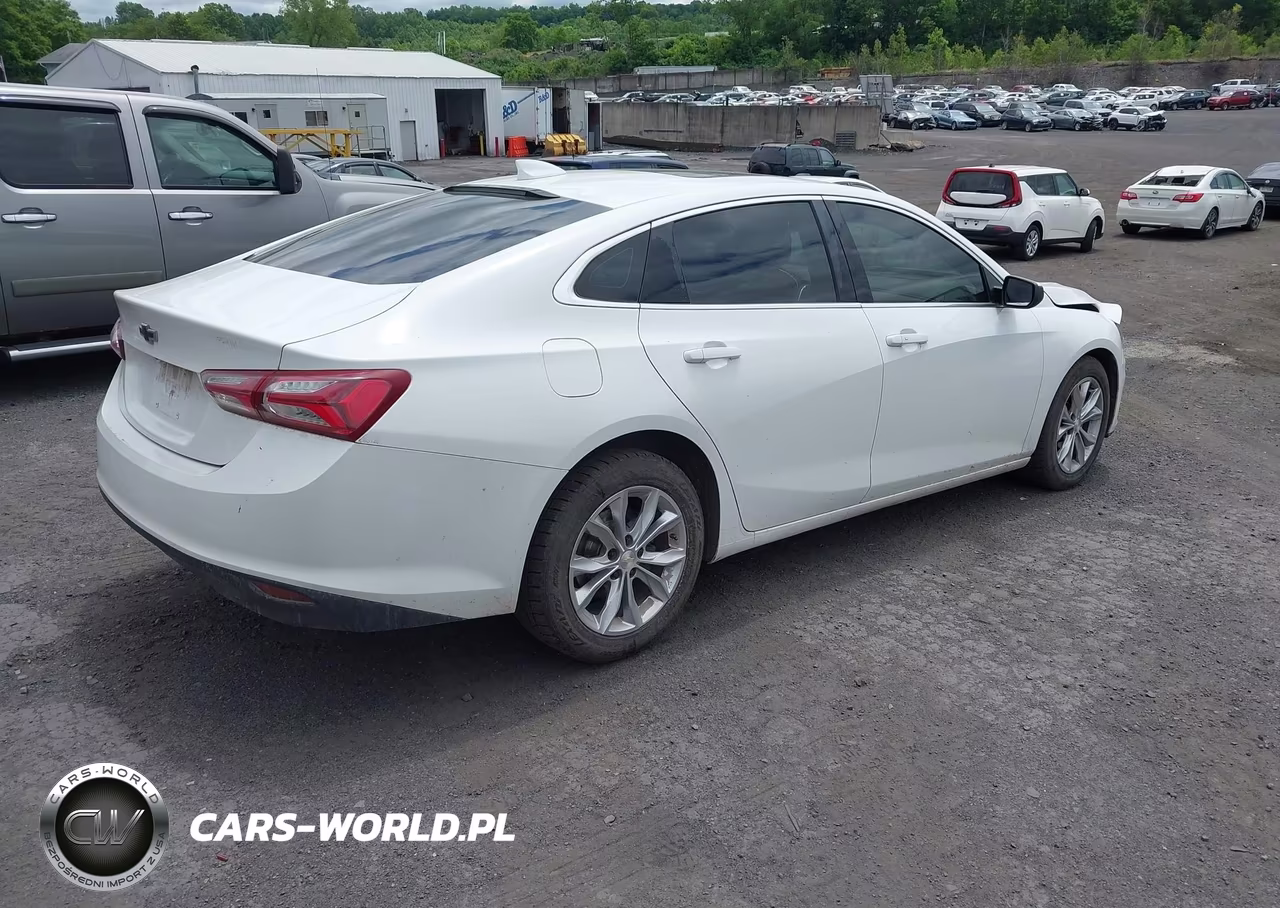 2019 Chevrolet Malibu Lt VIN:1G1ZD5ST1KF109396 - 4