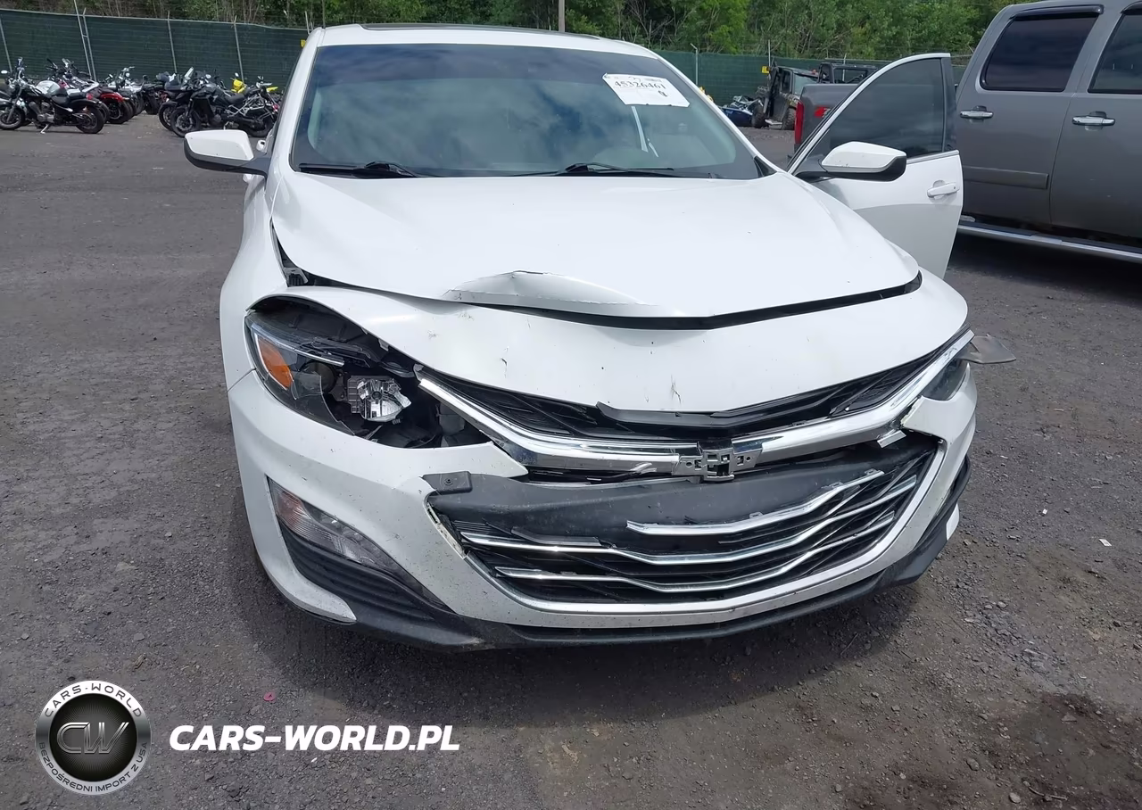 2019 Chevrolet Malibu Lt VIN:1G1ZD5ST1KF109396 - 6