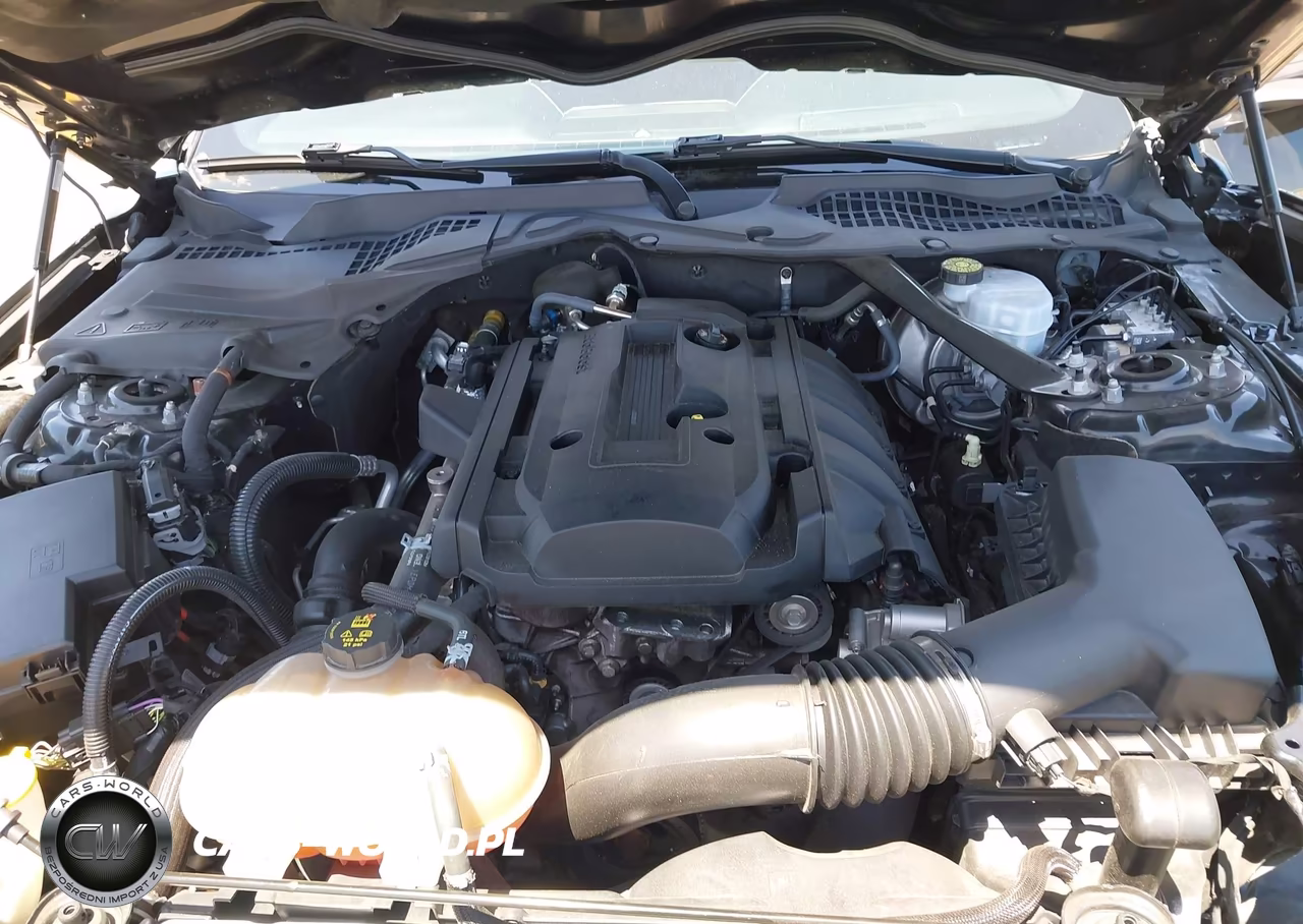 2019 Ford Mustang Ecoboost Premium VIN:1FA6P8THXK5143605 - 10