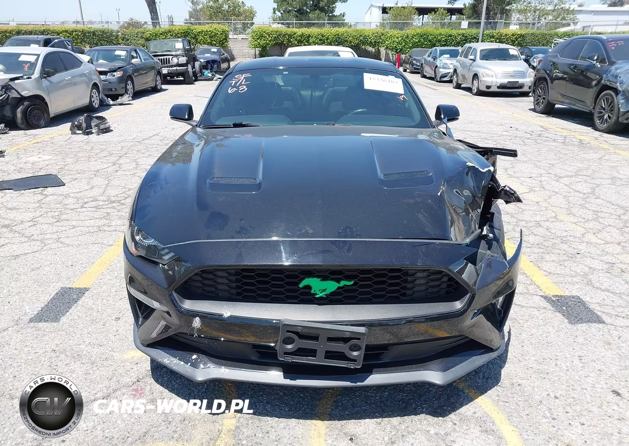 2019 Ford Mustang Ecoboost Premium VIN:1FA6P8THXK5143605 - 12