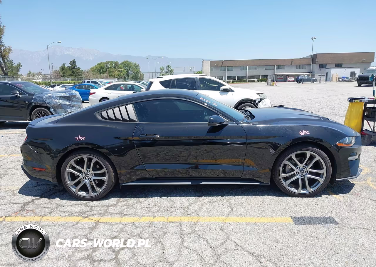 2019 Ford Mustang Ecoboost Premium VIN:1FA6P8THXK5143605 - 13