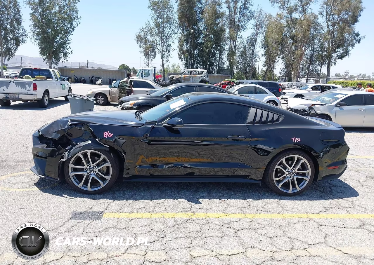 2019 Ford Mustang Ecoboost Premium VIN:1FA6P8THXK5143605 - 14