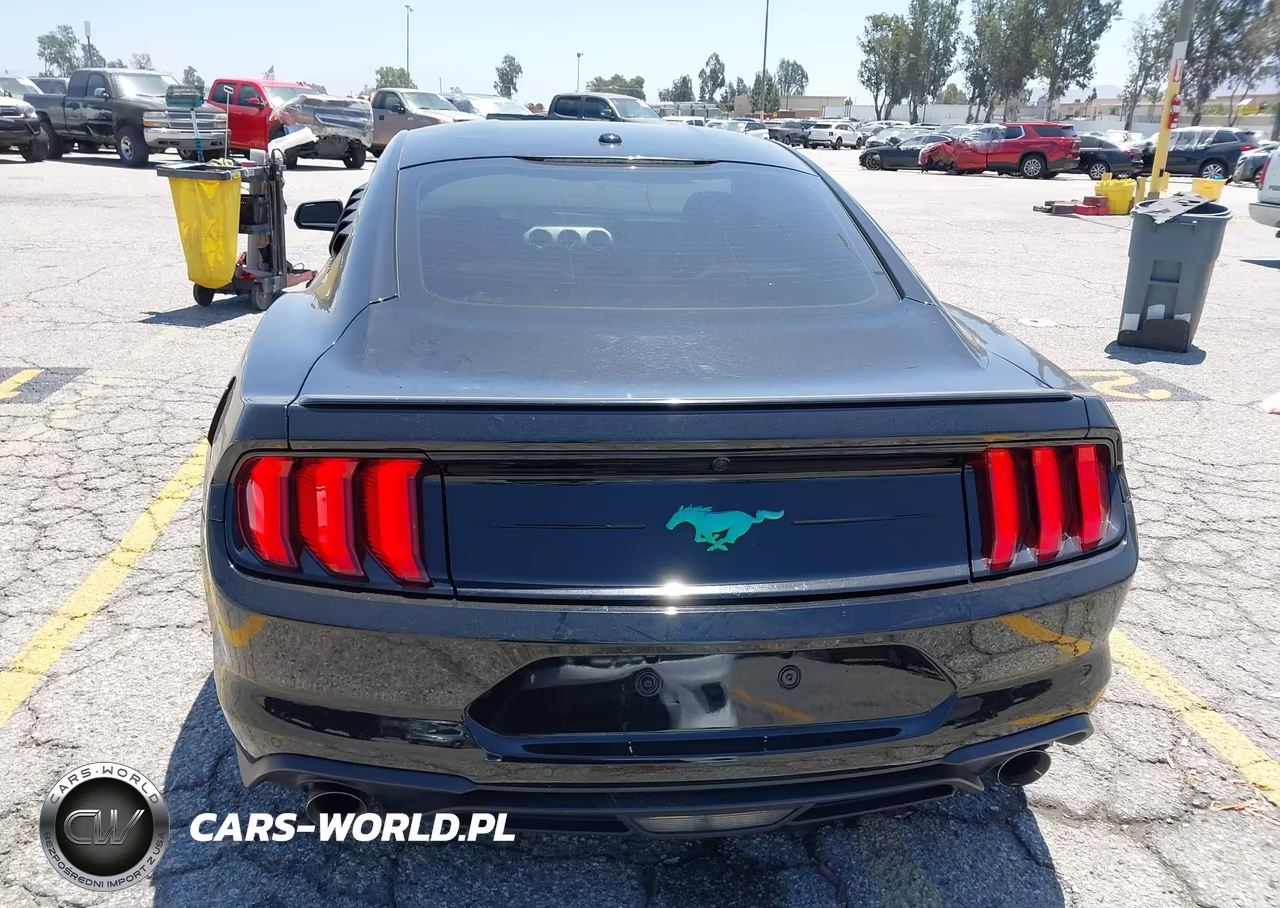 2019 Ford Mustang Ecoboost Premium VIN:1FA6P8THXK5143605 - 16