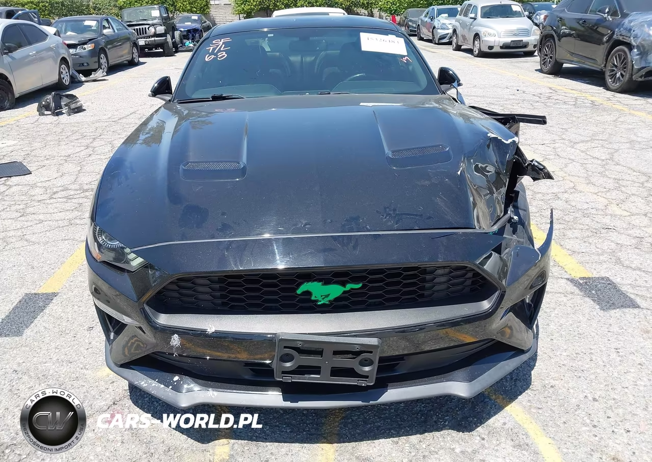 2019 Ford Mustang Ecoboost Premium VIN:1FA6P8THXK5143605 - 17