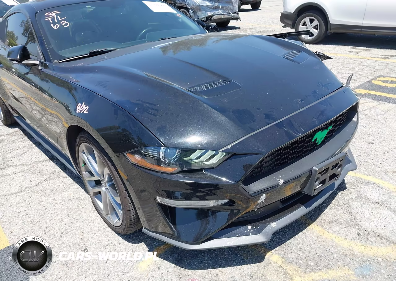 2019 Ford Mustang Ecoboost Premium VIN:1FA6P8THXK5143605 - 18