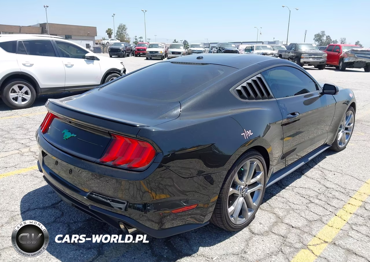 2019 Ford Mustang Ecoboost Premium VIN:1FA6P8THXK5143605 - 4