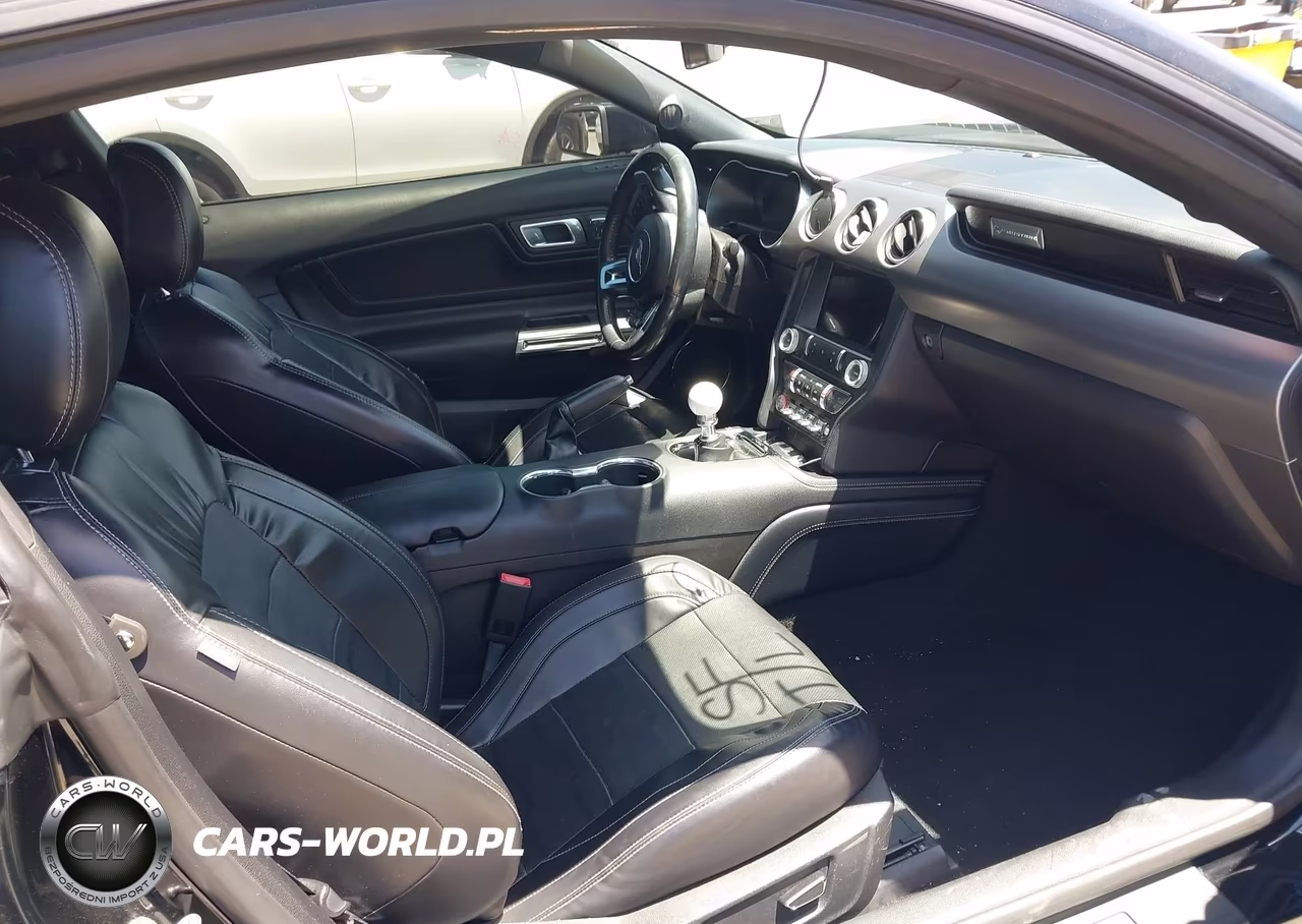 2019 Ford Mustang Ecoboost Premium VIN:1FA6P8THXK5143605 - 5