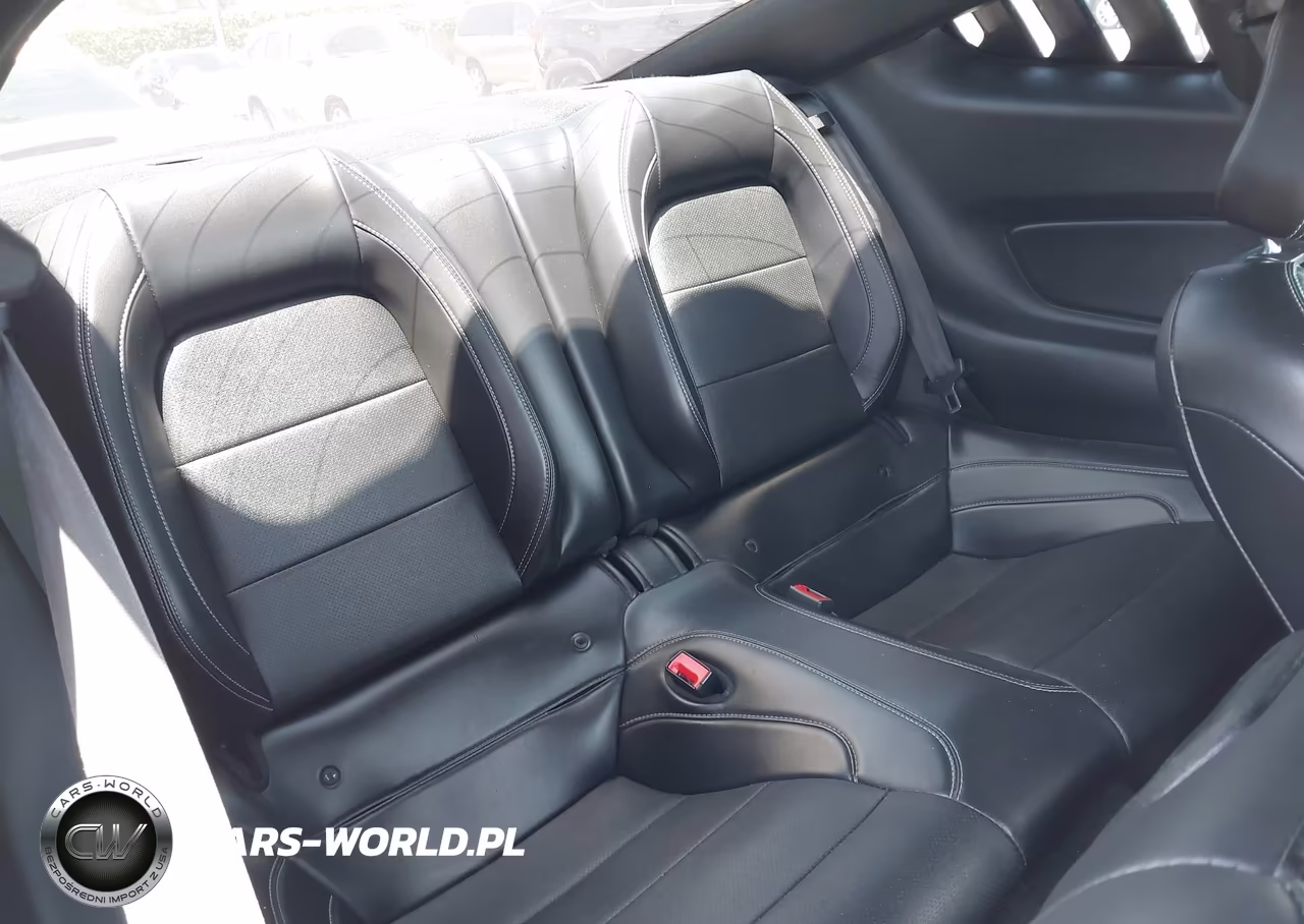 2019 Ford Mustang Ecoboost Premium VIN:1FA6P8THXK5143605 - 8