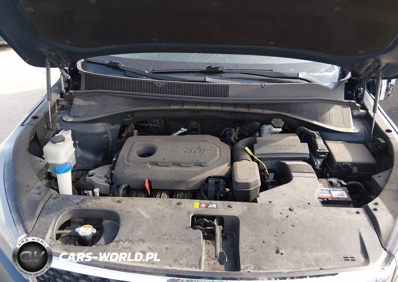 2016 Kia Sorento 2.4L Lx VIN:5XYPG4A33GG144625 - 10