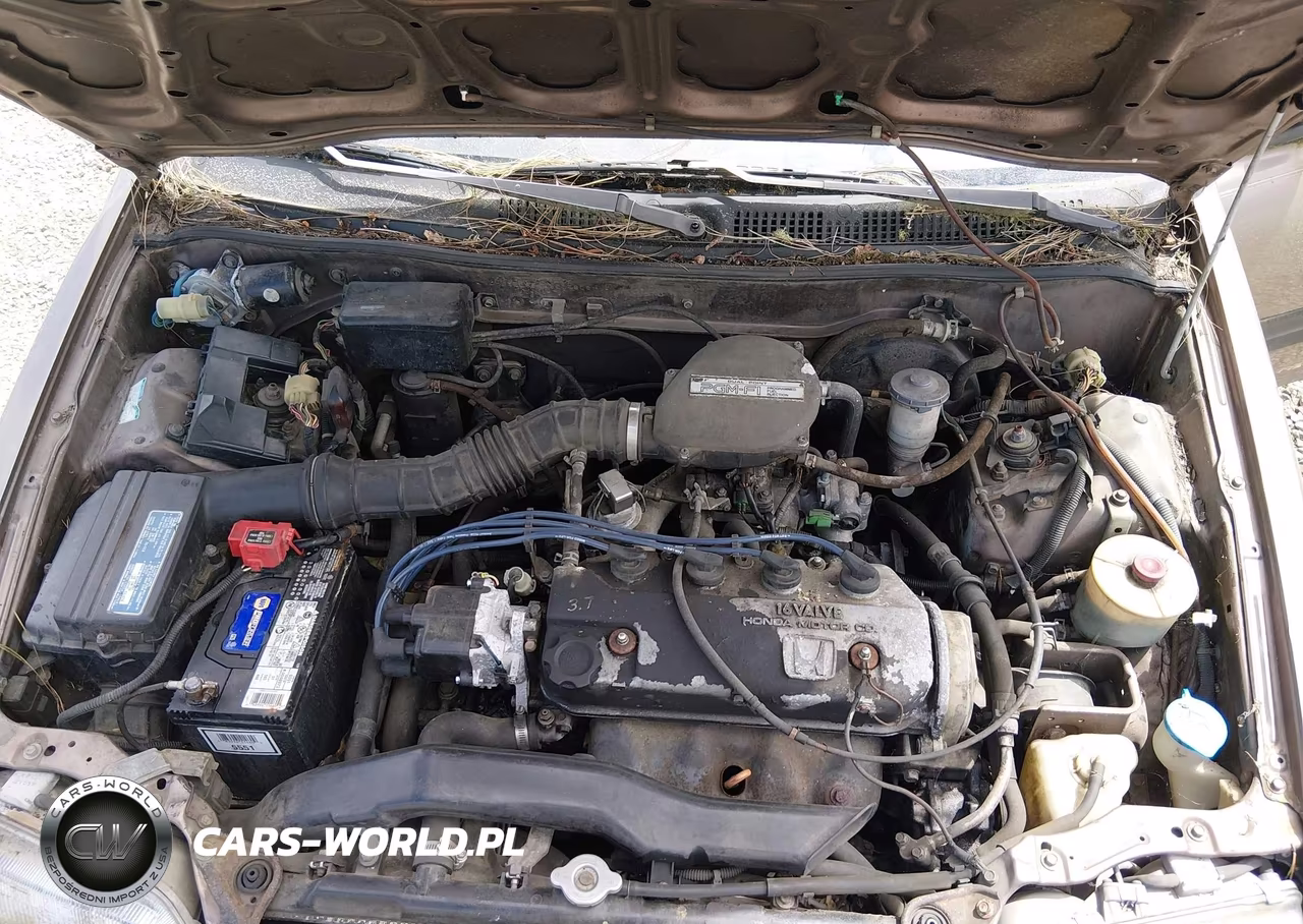 1991 Honda Civic VIN:JHMEE2850MS005808 - 10