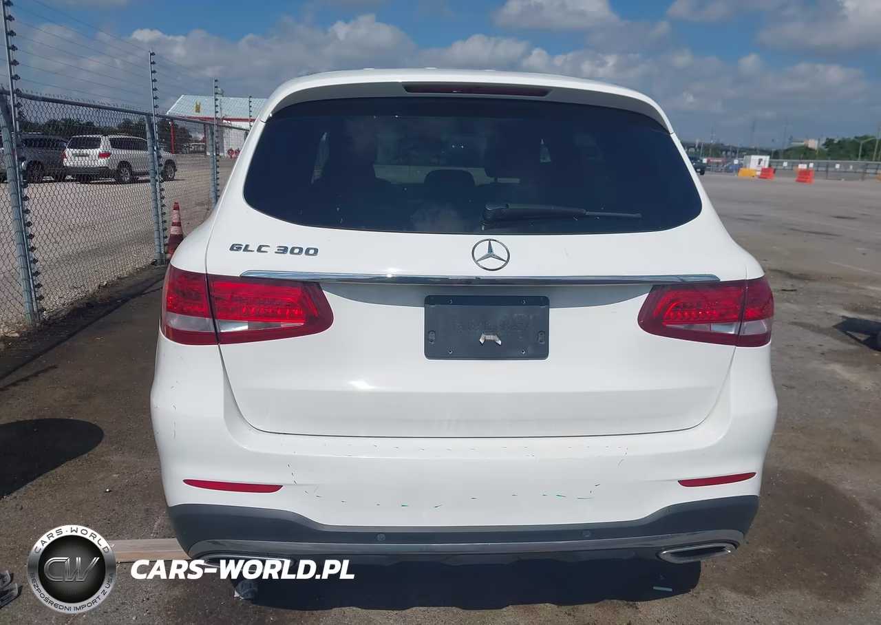 2019 Mercedes-Benz Glc 300 VIN:WDC0G4JB0KV125244 - 16
