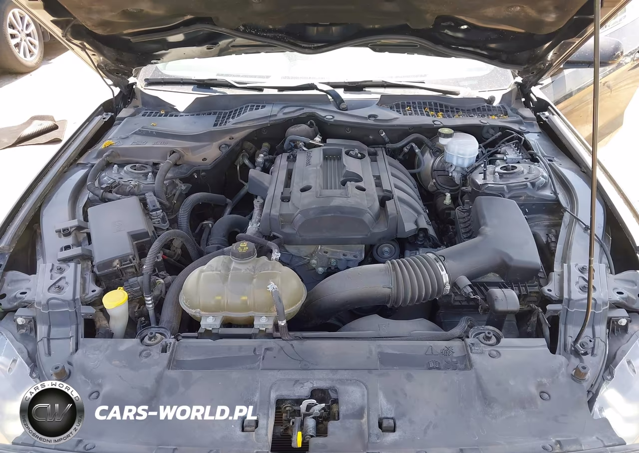 2018 Ford Mustang Ecoboost VIN:1FA6P8TH8J5159543 - 10