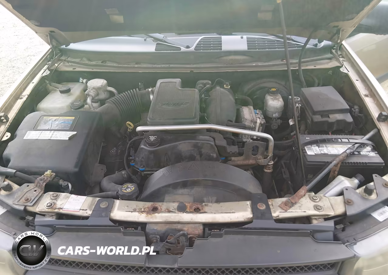 2004 Chevrolet Trailblazer Ls VIN:1GNDS13SX42196934 - 10