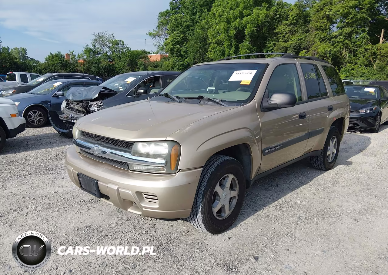 2004 Chevrolet Trailblazer Ls VIN:1GNDS13SX42196934 - 2