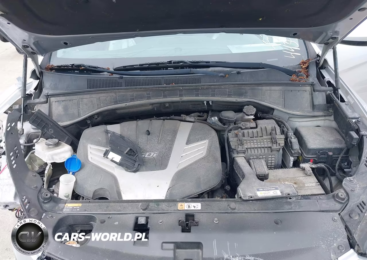 2017 Hyundai Santa Fe Se VIN:KM8SM4HF9HU201957 - 10