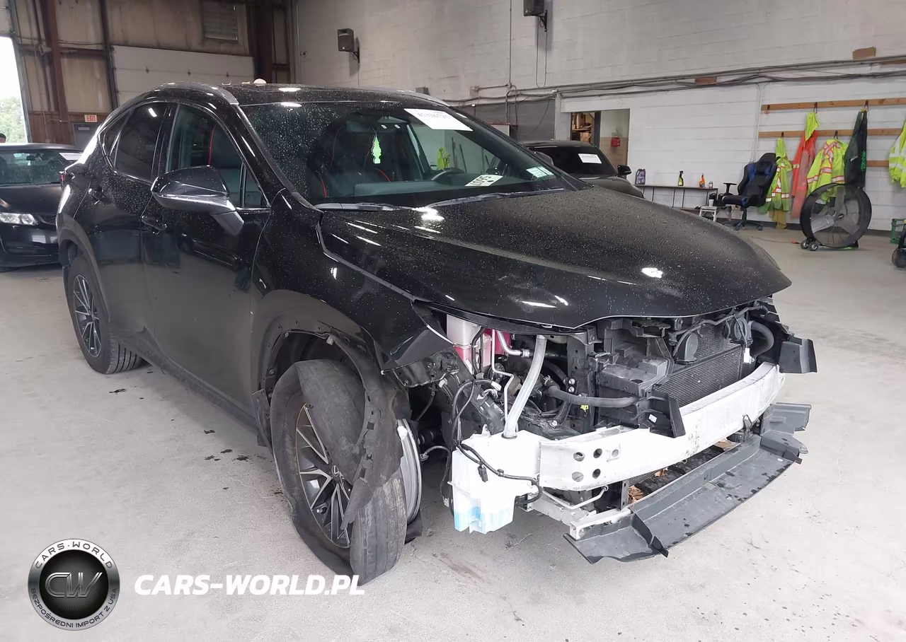 2025 Lexus Nx 350H Premium VIN:2T2GKCEZ2SC042448 - 6