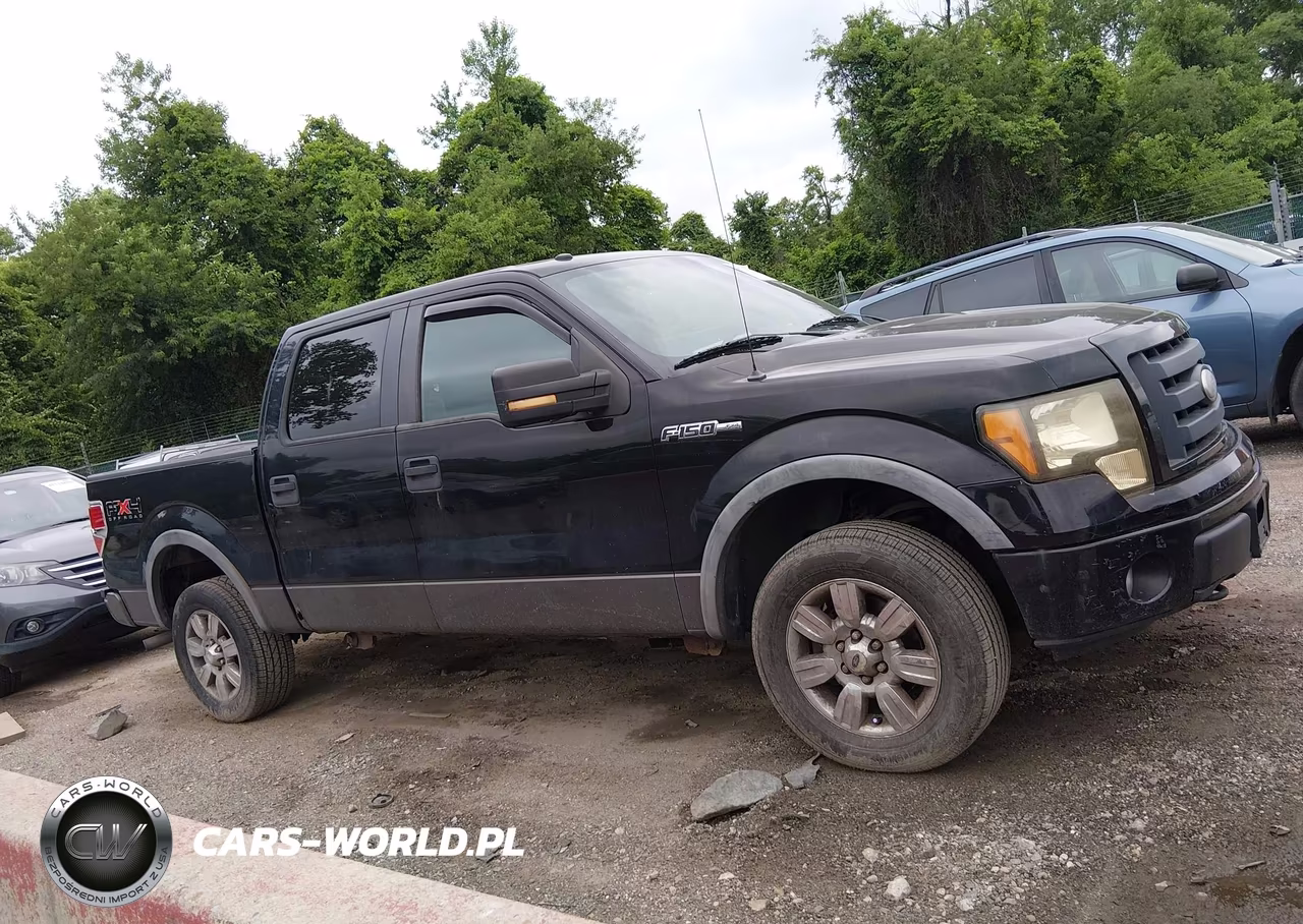 2009 Ford F-150 Fx4-King Ranch-Lariat-Platinum-Xl-Xlt VIN:1FTPW14V69FA42515 - 13