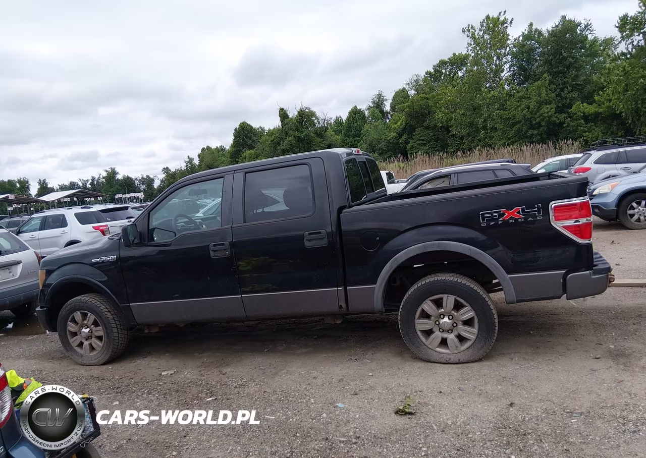 2009 Ford F-150 Fx4-King Ranch-Lariat-Platinum-Xl-Xlt VIN:1FTPW14V69FA42515 - 14