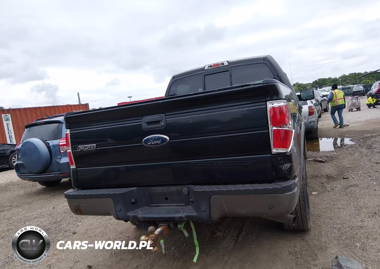 2009 Ford F-150 Fx4-King Ranch-Lariat-Platinum-Xl-Xlt VIN:1FTPW14V69FA42515 - 16